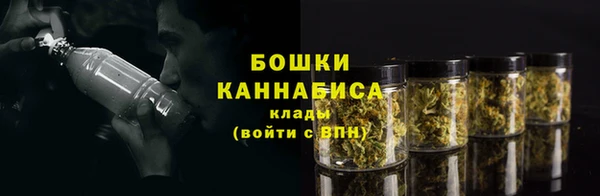 хмурый Верхний Тагил