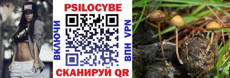 Галлюциногенные грибы Psilocybe наркотики Судак